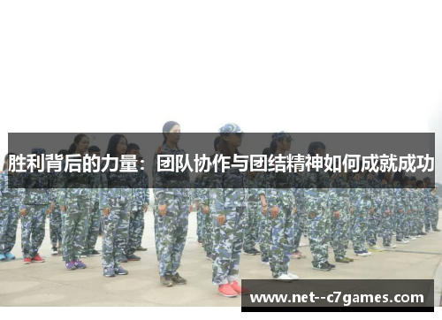 胜利背后的力量：团队协作与团结精神如何成就成功